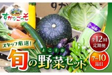 【全12回定期便】よこすか野菜セット すかなボックス / 野菜 やさい 野菜ボックス 野菜セット 野菜詰め合わせ 産地直送 野菜BOX おまかせ 食べ比べ 新鮮 季節 【JAよこすか葉山】 [ASCB004]