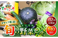 【全12回定期便】よこすか野菜セット すかなボックス / 野菜 やさい 野菜ボックス 野菜セット 野菜詰め合わせ 産地直送 野菜BOX おまかせ 食べ比べ 新鮮 季節 【JAよこすか葉山】 [ASCB004]