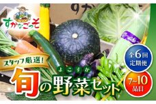 【全6回定期便】よこすか野菜セット すかなボックス / 野菜 やさい 野菜ボックス 野菜セット 野菜詰め合わせ 産地直送 野菜BOX おまかせ 食べ比べ 新鮮 季節 【JAよこすか葉山】 [ASCB003]
