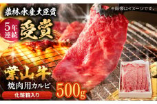 【着日指定必須】葉山牛 焼肉用カルビ500g / 牛肉 牛 肉 お肉 国産 赤身肉 やきにく 焼き肉 カルビ かるび BBQ ブランド牛 和牛 黒毛和牛 国産牛 贈答 ギフト 冷凍 葉山 【有限会社葉山旭屋牛肉店】 [ASAP023]