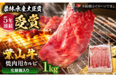 【着日指定必須】葉山牛 焼肉用カルビ1Kg / 牛肉 牛 肉 お肉 国産 赤身肉 やきにく 焼き肉 カルビ かるび BBQ ブランド牛 和牛 黒毛和牛 国産牛 贈答 ギフト 冷凍 葉山 【有限会社葉山旭屋牛肉店】 [ASAP024]