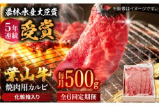 【全6回定期便】 葉山牛 焼肉用カルビ500g  / 牛肉 牛 肉 お肉 国産 赤身肉 やきにく 焼き肉 カルビ かるび BBQ ブランド牛 和牛 黒毛和牛 国産牛 贈答 ギフト 冷凍 葉山 定期 定期便  【有限会社葉山旭屋牛肉店】 [ASAP039]