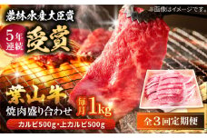 【全3回定期便】 葉山牛 焼肉用上カルビ500g焼肉用カルビ500g / 牛肉 牛 肉 お肉 国産 赤身肉 やきにく 焼き肉 カルビ かるび 上カルビ 上かるび BBQ ブランド牛 和牛 黒毛和牛 国産牛 贈答 ギフト 冷凍 葉山 定期 定期便 【有限会社葉山旭屋牛肉店】 [ASAP053]