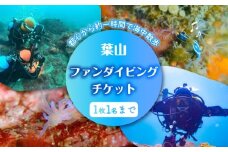 葉山ダイビング　ビーチエントリー2ダイブ　チケット ／ 葉山 ダイビング マリンスポーツ 神奈川 レジャー 体験型返礼品 チケット 手ぶら 自然 海 神奈川県【ダイビングショップNANA】 [ASAM001]