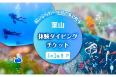葉山体験ダイビング　チケット ／ 葉山 ダイビング マリンスポーツ 神奈川 レジャー 体験型返礼品 チケット 手ぶら 自然 海 神奈川県【ダイビングショップNANA】 [ASAM002]