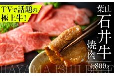 葉山石井牛焼肉 800g | 赤身と脂のバランスが絶妙な神奈川・葉山発 ブランド牛 牛肉 肉 和牛 国産 焼き肉 焼肉 やきにく 葉山 HACCP認証 神奈川 【株式会社石井ファーム葉山マルシェ】 [ASCD006]