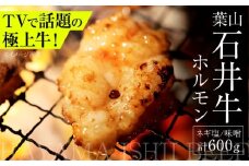 葉山石井牛ホルモン味噌味、ネギ塩味 各300g | 赤身と脂のバランスが絶妙な神奈川・葉山発 牛ホルモン 肉 和牛 ほるもん 国産 葉山 HACCP認証 神奈川【株式会社石井ファーム葉山マルシェ】 [ASCD013]