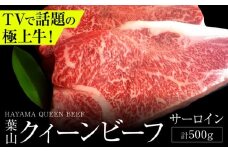 葉山クィーンビーフ サーロイン 250gx2 | 赤身と脂のバランスが絶妙な神奈川・葉山発 ブランド牛 牛肉 肉 和牛 国産 ステーキ 葉山 神奈川 【株式会社石井ファーム葉山マルシェ】 [ASCD009]