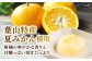 葛餅 くずもち 和菓子 おやつ スイーツ 夏みかん 夏蜜柑 お菓子 贈り物 ギフト 柑橘 神奈川県 葉山町
