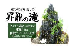 昇龍の滝 小サイズ 滝音 ビオトープ せせらぎ 庭 バルコニー メダカ エサやり不要 癒し ガーデニング リラクゼーション アクアフォレスト 神奈川県寒川町(※鉢はついていません)