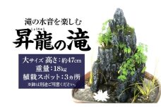 昇龍の滝 大サイズ 滝音 ビオトープ せせらぎ 庭 バルコニー メダカ エサやり不要 癒し ガーデニング リラクゼーション アクアフォレスト 神奈川県寒川町(※鉢はついていません)