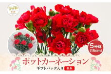 鈴木園芸 ポットカーネーション 赤系 5号鉢 フラワー ギフト 植物 ガーデニング 室内 園芸 花 はな flower 母の日 プレゼント 入学式 お祝い 贈り物 サプライズ 贈り物 卒業式 誕生日 インテリア 趣味 園芸 お花 送料無料 神奈川県 寒川町