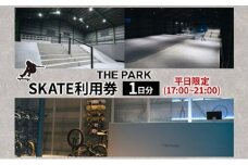 中上級者限定 THEPARK 平日限定 1日分 SKATE 2部 利用券 スケートボード  スケボー スケート 室内 コンクリート パーク ハンドレール ダウンレール 神奈川県 寒川町
