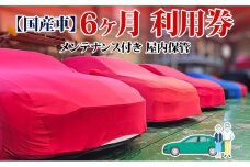 TMオートサービス 国産車 6か月 車両保管 利用券 基本点検付き 屋内ALC工法 メンテナンス付き 監視カメラ 盗難対策 長期出張 海外赴任 短期 保管 劣化防止 神奈川県 寒川町