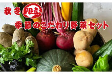 【秋冬限定】季節のこだわり野菜セット 野菜詰め合わせ（ 秋の味覚 冬の味覚 かぼちゃ さつまいも）＜出荷時期：毎年10月1日～翌年3月31日ごろ＞
