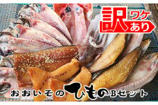 おおいその干物Bセット／ 季節によって多少内容が変わる訳あり品 【 ひもの 魚 天日干し 神奈川県 大磯 湘南 特産品 】