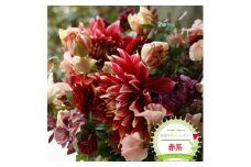 季節のアレンジメント（アレンジメント・生花：赤系）　事前やりとりしてのオーダーメイド。旬のお花と季節のグリーン、実物や枝物等を合わせてご用意いたします。【 花束 アレンジメント 神奈川県 大磯町 】