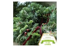 【季節限定】　クリスマスリース（個数限定）冬でも青々としたエバーグリーンと木の実を組み合わせたリース。フレッシュな森の香りとやがてはドライになってゆく色の移ろいも楽しめます。花材はお任せにてご用意します。〈出荷時期:2024年11月20日出荷開始～2024年12月5日出荷終了〉