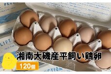 湘南大磯産平飼い鶏卵 120個＜2024年12月1日出荷開始～2025年6月30日出荷終了＞【 たまご 神奈川県 大磯町 】