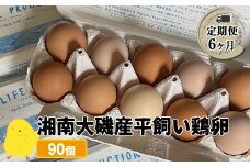 【定期便6ヶ月】 湘南大磯産平飼い鶏卵 90個＜2024年12月1日出荷開始　6ヶ月連続でお届け＞【 たまご 神奈川県 大磯町 】