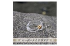 オーダーメイド リング【 神奈川県 大磯町 レディースジュエリー ファッション小物 誕生日 お祝い ギフト 贈り物 ファッション 】