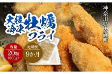 【定期便9カ月】大粒カキフライ 20粒 【冷凍 牡蠣 かき 大粒 冷凍カキフライ 魚介類 海鮮 惣菜 おかず ギフト 簡単調理 冷凍配送 送料無料 神奈川県 大磯町】 