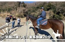 気軽に楽しむ！乗馬体験20分【 体験 レッスン 神奈川県 大磯町 】