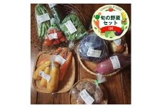 旬の野菜セット（1回）【 神奈川県 大磯町 季節野菜セット 新鮮野菜】