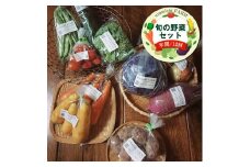 旬の野菜セット（年間/12回）【 神奈川県 大磯町 季節野菜セット 新鮮野菜】