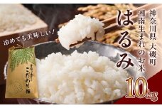 【R7年新米10kg】湘南生まれのお米「はるみ」〈出荷時期:～2025年12月26日出荷終了〉【 神奈川県 大磯町 米 お米 白米 白飯 コシヒカリ キヌヒカリ 交配種 新米 前日精米 特別栽培米 甘み 期間限定】