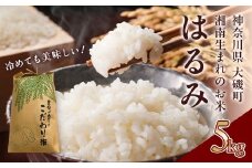 【R7年新米5kg】湘南生まれのお米「はるみ」〈出荷時期:～2025年12月26日出荷終了〉【 神奈川県 大磯町 米 お米 白米 白飯 コシヒカリ キヌヒカリ 交配種 新米 前日精米 特別栽培米 甘み 期間限定】