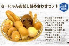 No.057 無添加 冷凍 パン むーにゃんお試し詰め合わせセット ／ ぱん 安心 安全 神奈川県 特産品