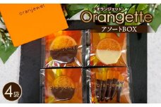 No.072 オランジェットアソートBOX ／ スイーツ お菓子 洋菓子 チョコ チョコレート 柑橘 コンフィ ジューシー oranjewel 神奈川県