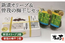 No.076 新漬オリーブ＆曽我の梅干しセット【かねきち】 ／ グリーンオリーブ 曾我梅林 整腸作用 醗酵食品 湘南 神奈川県 特産品