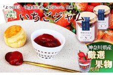 No.083 いちごジャム100g×2個 ／ 苺 イチゴ 苺ジャム イチゴジャム ストロベリー 人気 加工食品 手作り 白砂糖不使用 ペクチン不使用 フルーツスプレッド コンフィチュール トッピング 神奈川県産果物 神奈川県