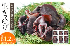 井戸水を使って作られた生きくらげ　約1.2kg(約200g×6p)【1139807】