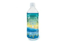 丹沢の山々をのぞむ まろやか天然水 500ml×24本【1224325】