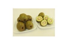 中井町産キウイフルーツ(紅妃)約3kg【1671877】