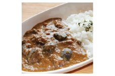 ＜大井町特産果実フェイジョア+ブランド牛＞足柄牛入りフェイジョアカレー　レトルトパック4個入【1055827】