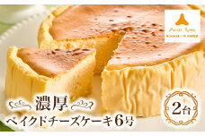 モンテローザ　濃厚ベイクドチーズケーキ6号2台【1055842】