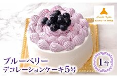 ブルーベリーデコレーションケーキ5号【1229021】