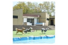 6DOGRUNHOTEL　1泊2日食事付　ドッグランプラン/2名様宿泊券【1504652】