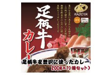 足柄牛を贅沢に使ったカレー200g×10個セット【1507107】