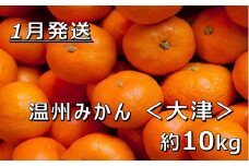 【1月中発送】【JAかながわ西湘】濃厚な甘さが自慢の「温州みかん（大津）」10kg | 温州みかん ミカン みかん 10kg