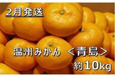 【2月中発送】【JAかながわ西湘】濃厚な甘さが自慢の「温州みかん（青島）」10kg | 温州みかん みかん ミカン 10kg