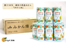 JA直送100%みかんジュース「みかん畑」