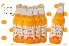 おひるねみかんサイダー　340ml　30本