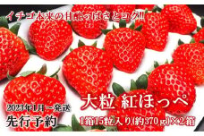 （2023年1月より順次発送）先行予約　紅ほっぺ大粒いちご15粒×2箱
