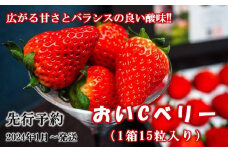 （2024年1月より順次発送）先行予約　おいCベリー15粒