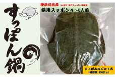 神奈川県産すっぽん鍋（4～5人前　約620ｇ）【 すっぽん 鍋 国産 肉 神奈川県 山北町 】